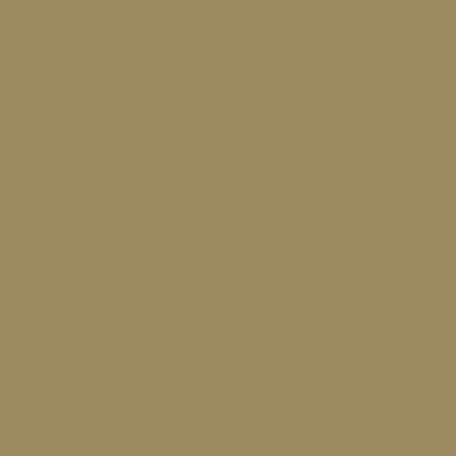 Color NCS  - S-4020-Y