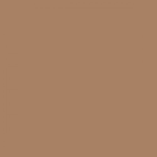 Color NCS  - S-4020-Y40R