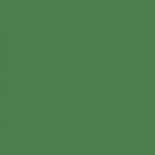 Color NCS  - S-4040-G20Y