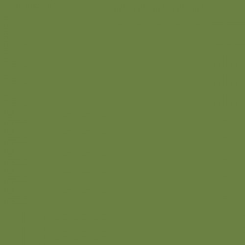 Color NCS  - S-4040-G40Y