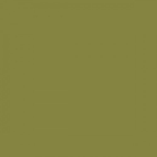 Color NCS  - S-4040-G70Y