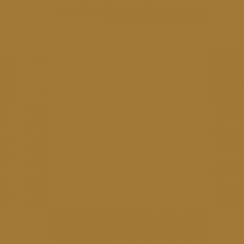 Color NCS  - S-4040-Y10R
