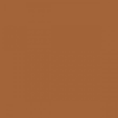 Color NCS  - S-4040-Y40R
