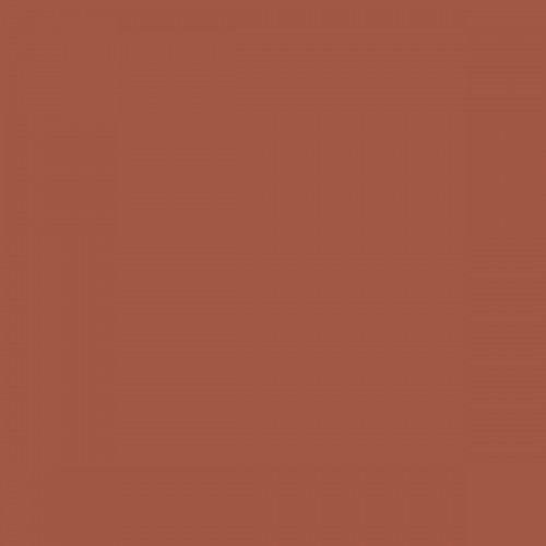 Color NCS  - S-4040-Y70R