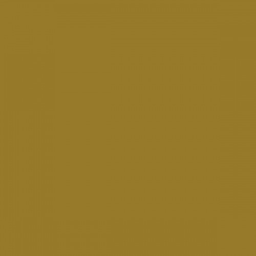 Color NCS  - S-4050-Y