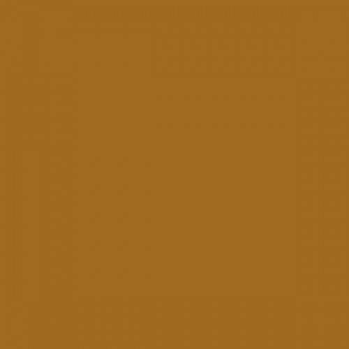 Color NCS  - S-4050-Y20R