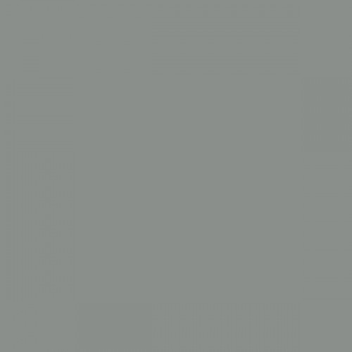 Color NCS  - S-4502-G