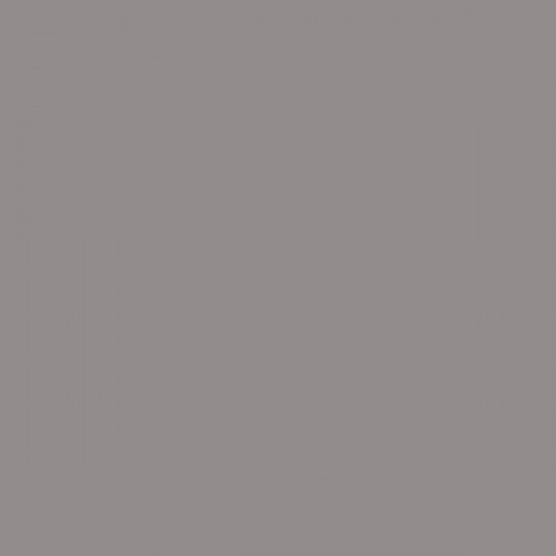 Color NCS  - S-4502-R