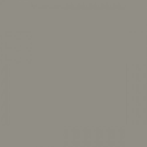 Color NCS  - S-4502-Y