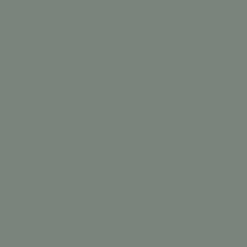 Color NCS  - S-5005-G20Y Color NCS  - S-5005-G20Y