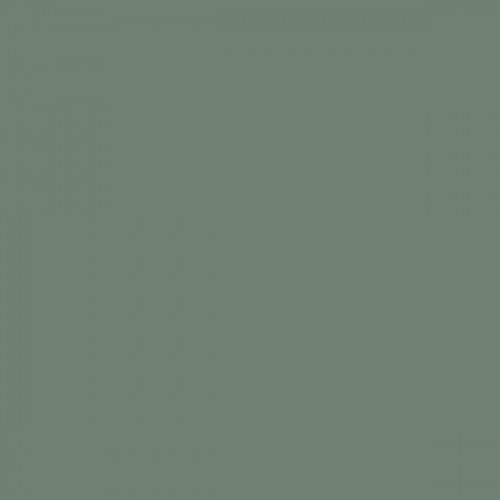 Color NCS  - S-5010-G10Y
