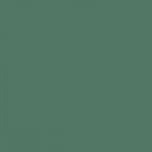 Color NCS  - S-5020-G