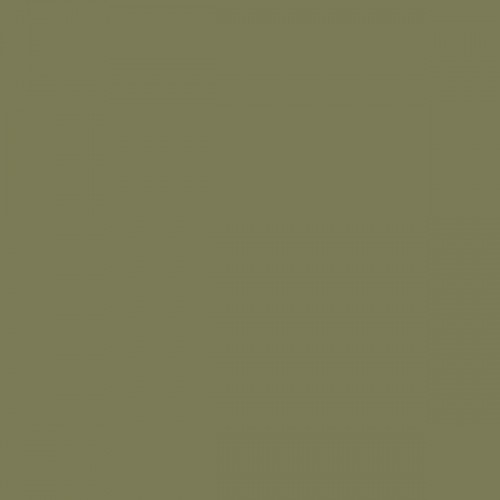 Color NCS  - S-5020-G70Y