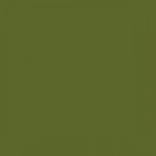 Color NCS  - S-5040-G50Y