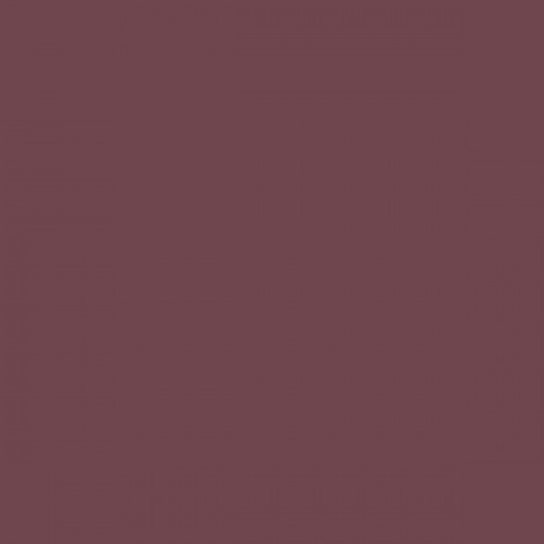 Color NCS - S-1002-Y
