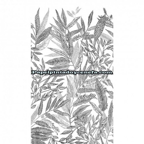 Mural Tropical Wallls Referencia  M-265-JF6101.