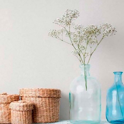Rollo Papel Pintado Tropical Wallls Referencia  265-1028.