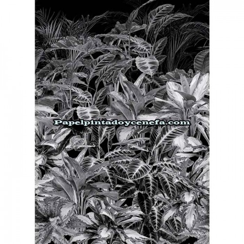 Mural LIGHT & DARK Referencia  M-INK7347.