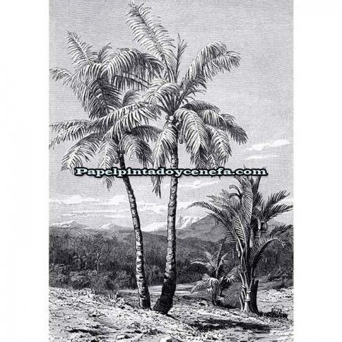 Mural LIGHT & DARK Referencia  M-INK7355.