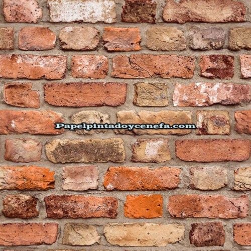 Rollo Papel Pintado TRAVEL WALLS Referencia  186-2269.