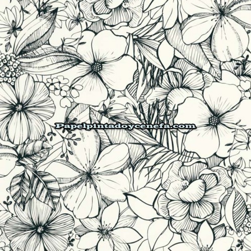Rollo Papel Pintado YOUNG &FREE Referencia  YNF-103389009.