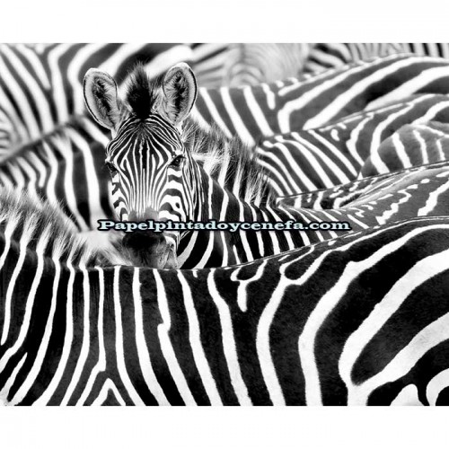 Mural KENYA Referencia  M-363616.