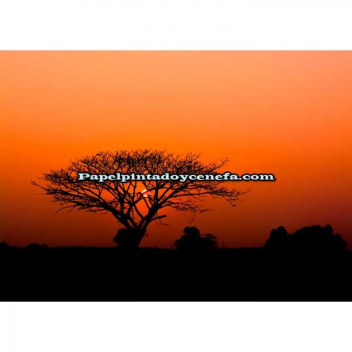 Mural KENYA Referencia  M-363647.