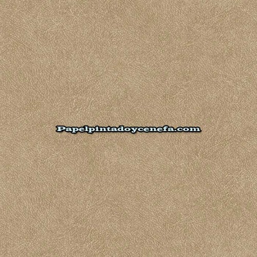 Rollo Papel Pintado MAGNIFICIENCE Referencia  1662-4366.