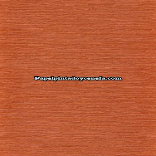 Rollo Papel Pintado AVENTURA Referencia  B74641528.