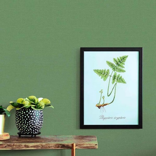 Rollo Papel Pintado CLASSY HOME Referencia  1261-4577.