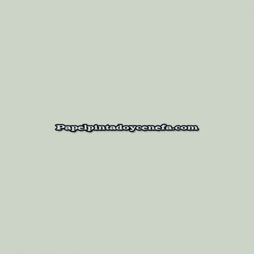 Rollo Papel Pintado REFLECT Referencia  RE25106.