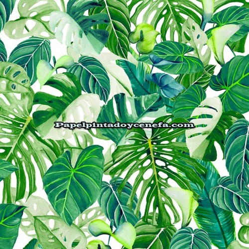 Rollo Papel Pintado TROPICANA HOME Referencia  001-TROPI.