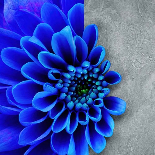 Rollo Papel Pintado VISION Referencia  Z76049.