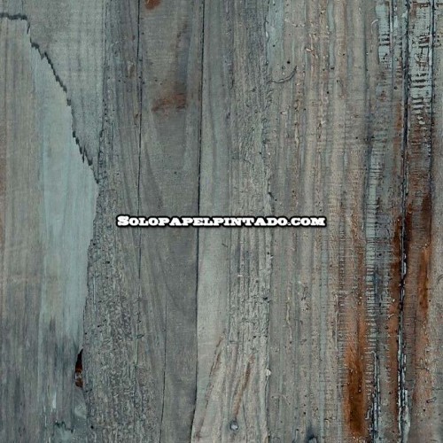 Rollo Papel Pintado BEATRICE Referencia  2401-1109.