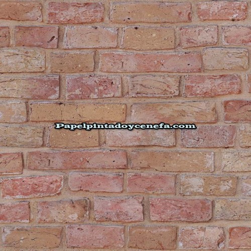 Rollo Papel Pintado TIERRA Referencia  212603-2.