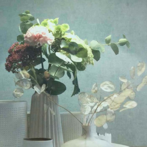 Rollo Papel Pintado So Color 4 Referencia  SCOL-80925221.