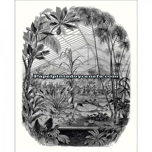 Mural BEAUTY FULL IMAGE 2 Referencia  M-BFM-102399000.