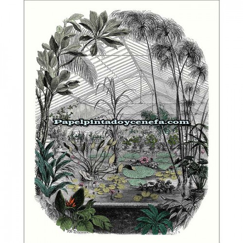Mural BEAUTY FULL IMAGE 2 Referencia  M-BFM-102397070.