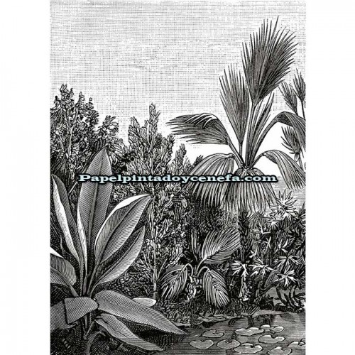 Mural BEAUTY FULL IMAGE 2 Referencia  M-BFM-102059018.