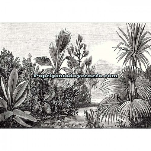 Mural BEAUTY FULL IMAGE 2 Referencia  M-BFM-102609009.