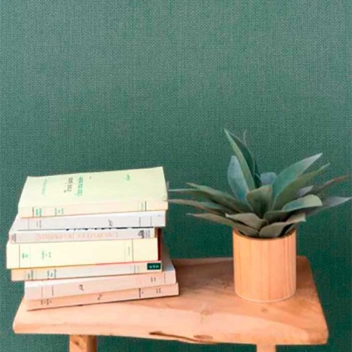 Rollo Papel Pintado STAY WILD Referencia  WILD-104997312.