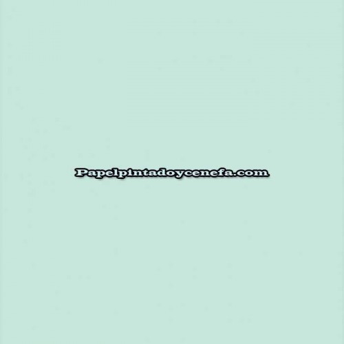 Rollo Papel Pintado HAV & LAND Referencia  220-12.