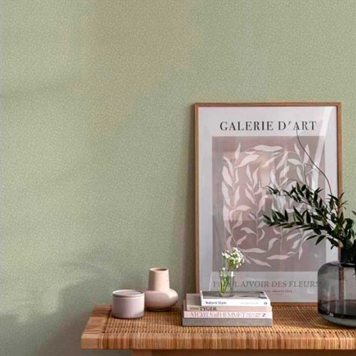 Rollo Papel Pintado SMAMONSTRAT Referencia  223-06.