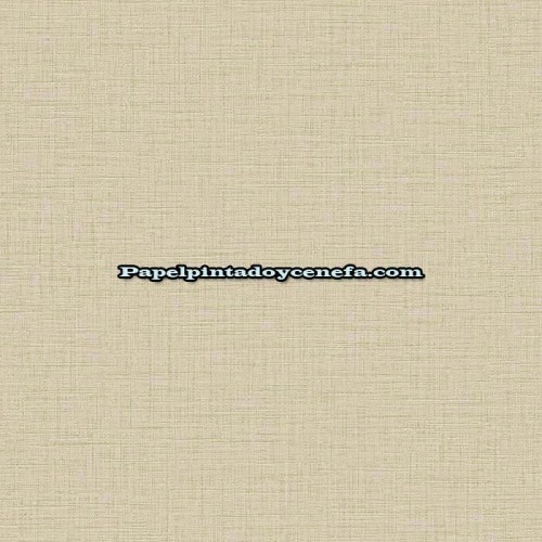 Rollo Papel Pintado TEXTURE PALETTE Referencia  TX20042.