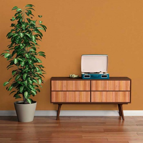 Rollo Papel Pintado RETRO CHIC Referencia  37178-4.