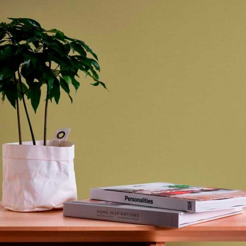 Rollo Papel Pintado RETRO CHIC Referencia  39097-4.