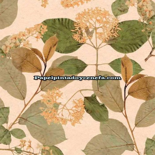 Rollo Papel Pintado HERBARIUM Referencia  1173-5757.