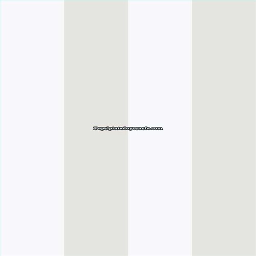 Rollo Papel Pintado ENZO Referencia  2570-6661.
