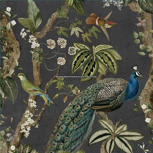 Rollo Papel Pintado ARBORETUM Referencia  91741.