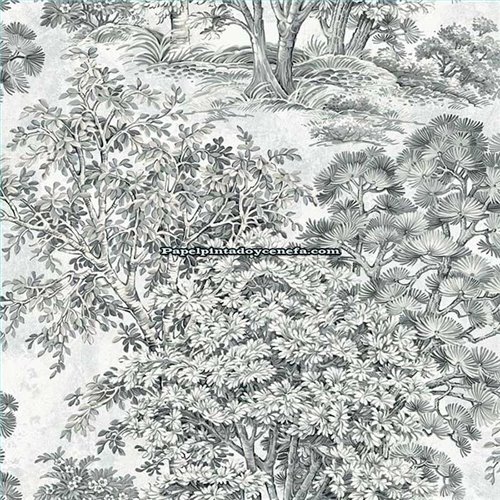 Rollo Papel Pintado TREES Referencia  TR70600.